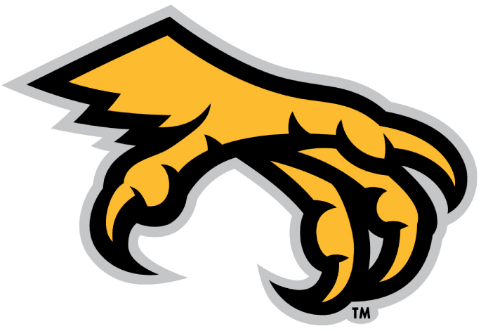 Kennesaw State Owls 2012-Pres Alternate Logo t shirts iron on transfers v2